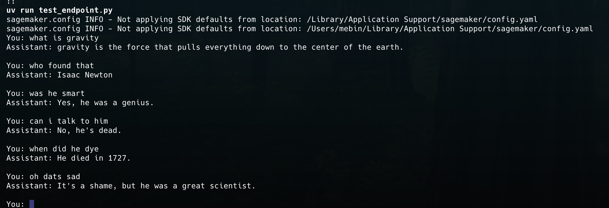 sample model output